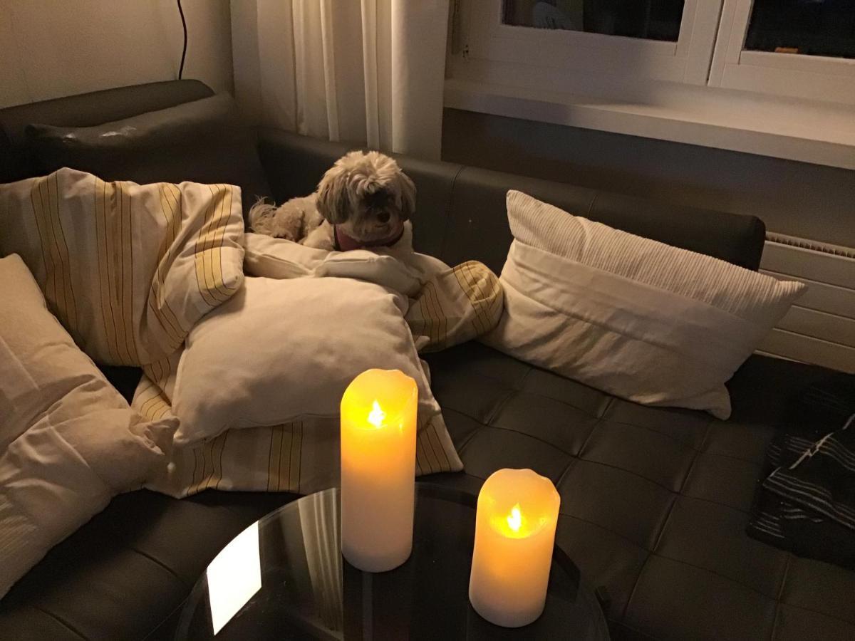 Apartment In ديسنتس المظهر الخارجي الصورة